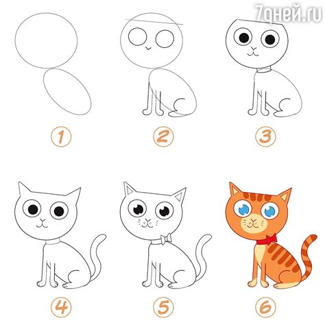 Увеличенный риск для домашних животных