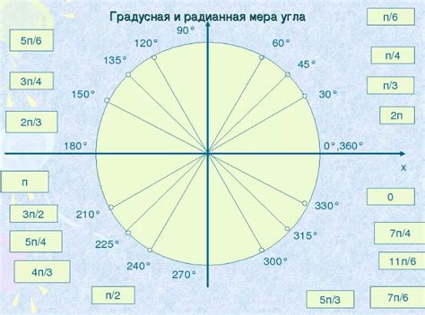 Углы в окружности и их градусная мера: