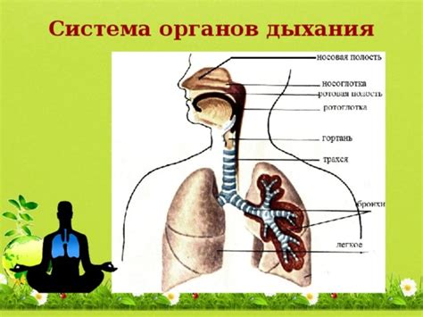 Угроза для дыхательной системы