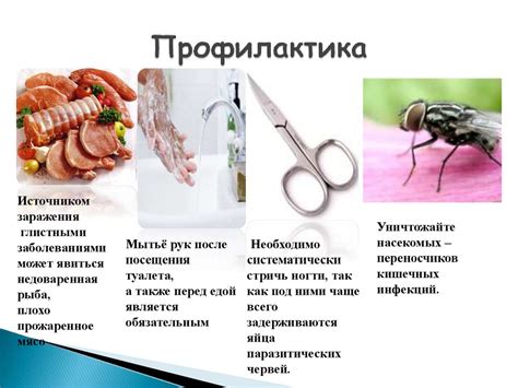 Угроза заражения глистами от роллов