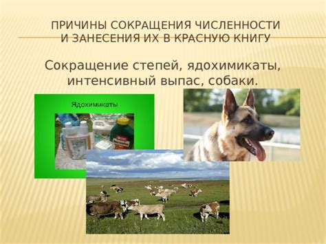 Угрозы, ставшие причиной занесения в красную книгу