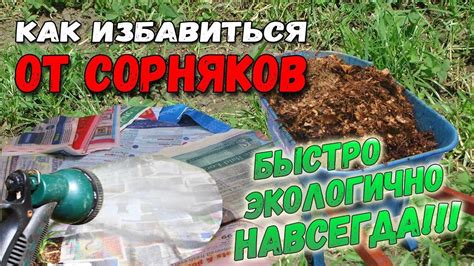 Удалите сорняки и корни