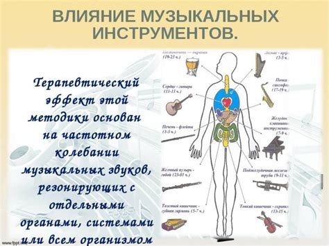 Удивительные факты о влиянии анчоусов на организм