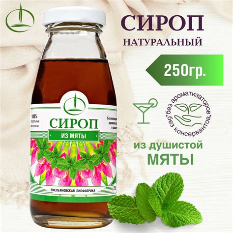 Удивите своих гостей – предложите сироп из мяты