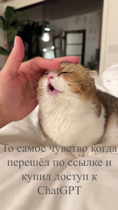 Удобное пользование