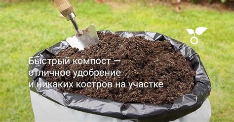 Удобрение: необходимость и способы