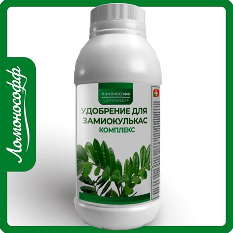 Удобрение и подкормка колокольчика