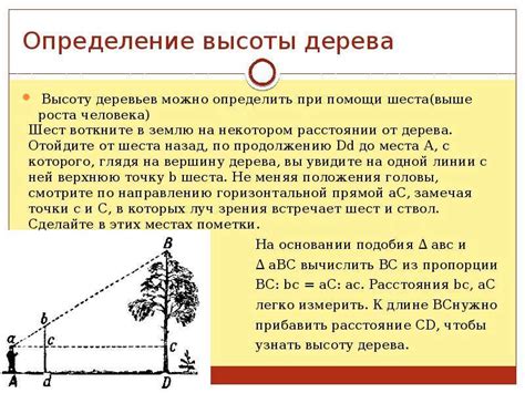 Узнайте, как определить тип объекта