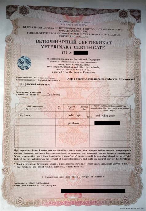 Узнайте о ветеринарном уходе и прививках