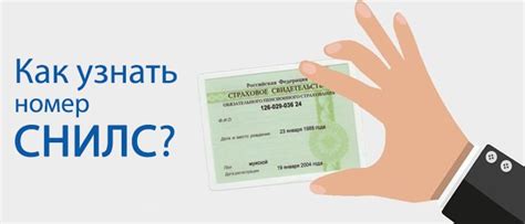 Узнайте о готовности СНИЛС онлайн