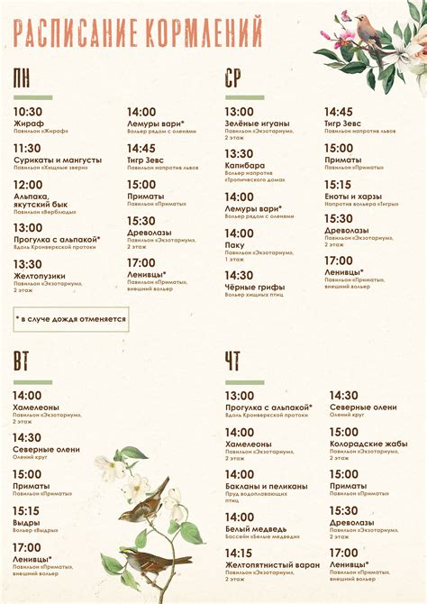 Узнайте расписание кормления