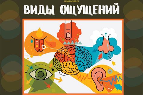 Узнайте свое тело: осознавание физических ощущений