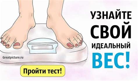 Узнайте свой вес и уровень подготовки