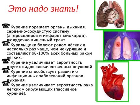 Укрепляет органы дыхания и сердечно-сосудистую систему