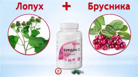 Улучшение обмена веществ с помощью папаина