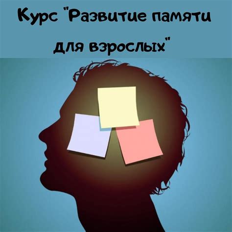 Улучшение памяти и запоминания информации