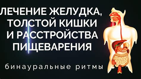 Улучшение пищеварения и снятие симптомов запора