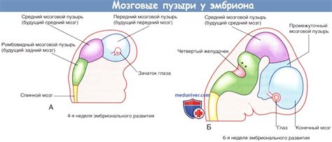Улучшение структуры пузырей