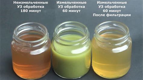 Ультразвуковая экстракция: извлечение сокровенных ароматов и вкусов