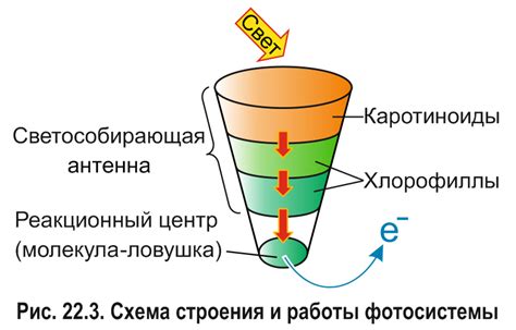 Умные строения и ловушки