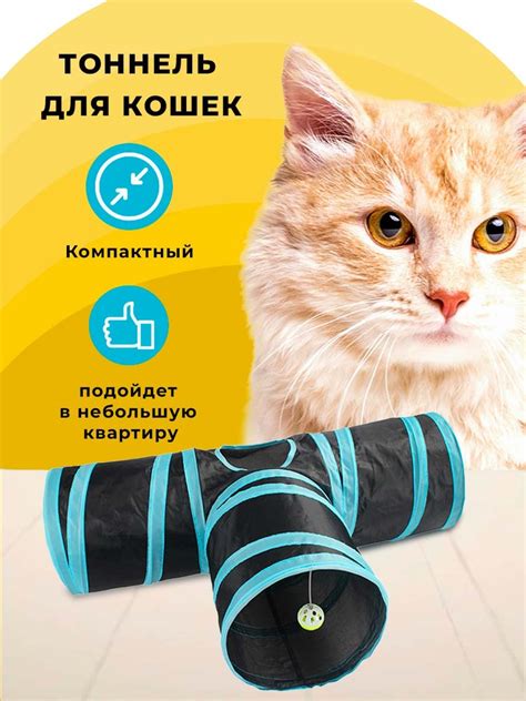 Уникальная игровая природа кошек