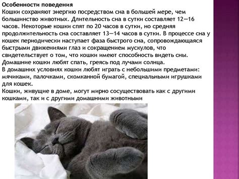 Уникальная особенность кошачьего рода