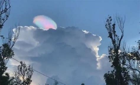Уникальное явление на Калине