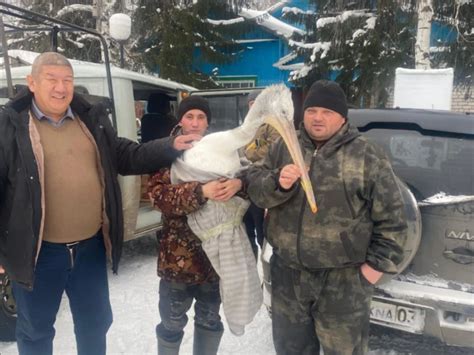 Уникальные навыки спасли молодого пажа