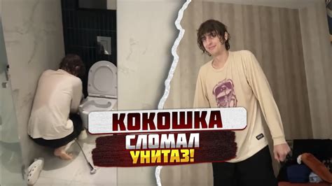 Уникальные особенности Данилы гориллы