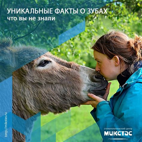 Уникальные факты о рыбьей памяти