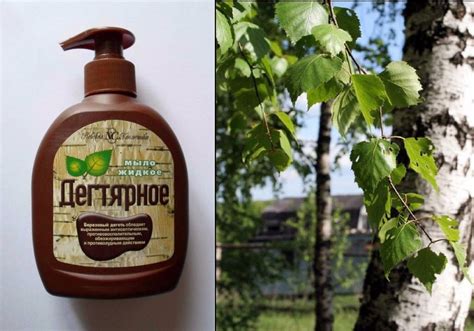 Уникальный состав и полезные свойства детского дегтярного мыла
