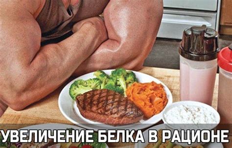Употребление достаточного количества белка для увеличения СДГи