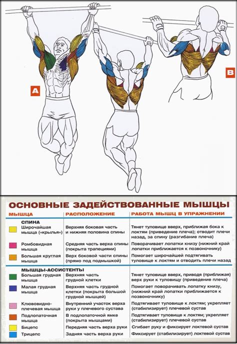 Упражнение №2: Подтягивания на перекладине