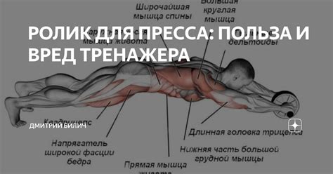 Упражнения для пресса: необходимость и польза