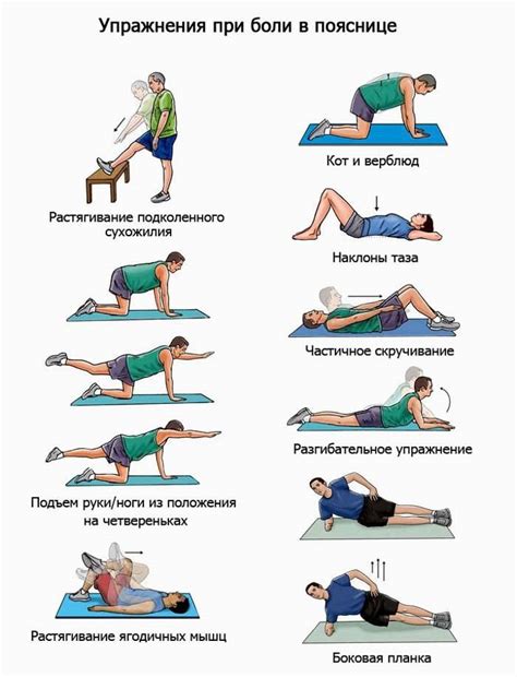 Упражнения для укрепления спины и устранения ушек