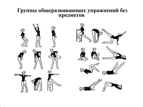 Упражнения с отягощениями и тренировки силового характера