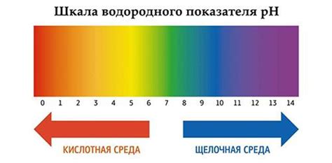Уровень важных питательных веществ для волос