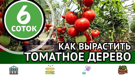 Урожай и полезность