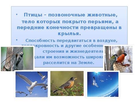 Уроки окружающего мира для 3 класса