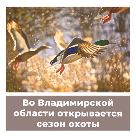 Ускорение охоты