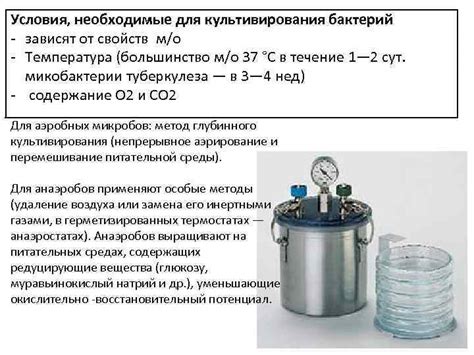 Условия, необходимые для сохранения свойств дрожжей