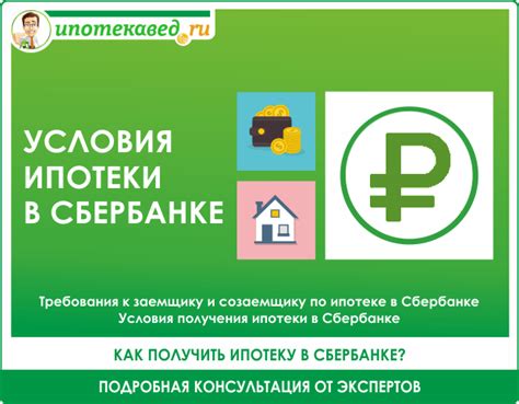 Условия и требования для получения микрозайма в МТС