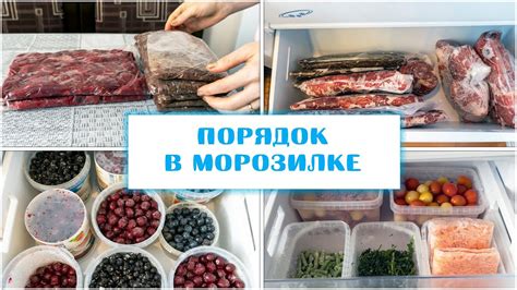 Условия хранения мяса в морозильной камере