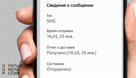 Услуга "Выписка абонента": получите полный отчет о всех подключенных номерах