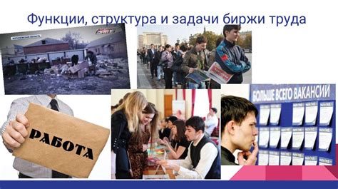 Услуги биржи труда в Гатчине