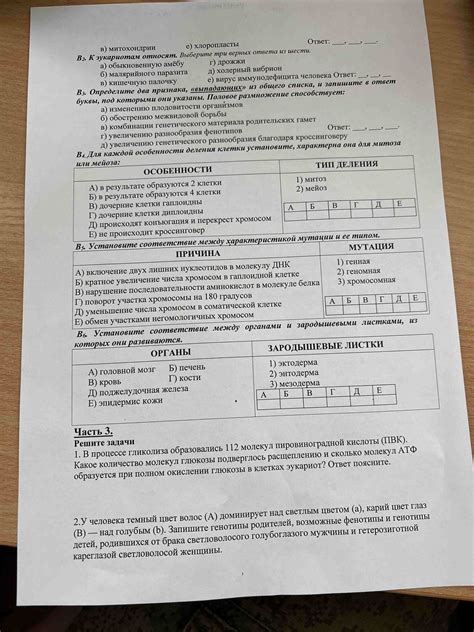 Установите границы для каждой клетки
