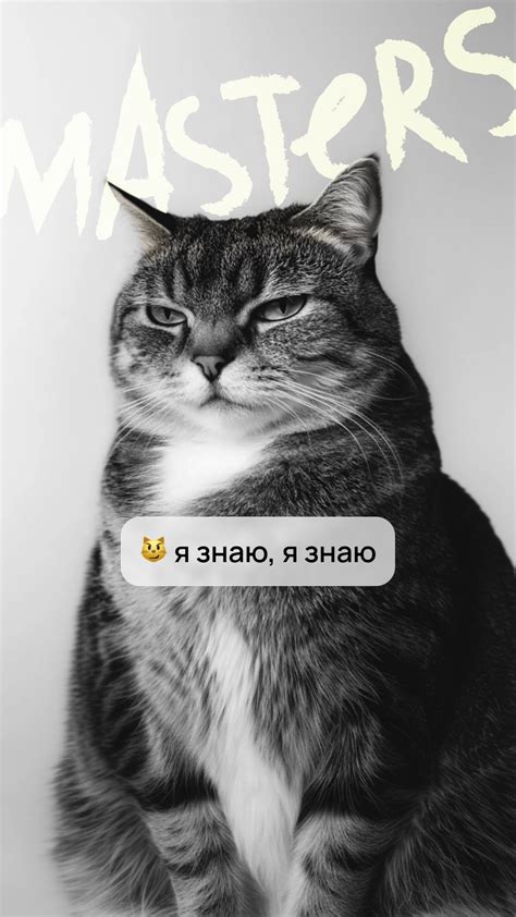 Установите и настройте приложение