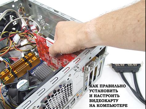 Установка видеокарты: пошаговая инструкция