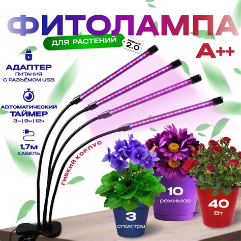 Установка лампы для рассады