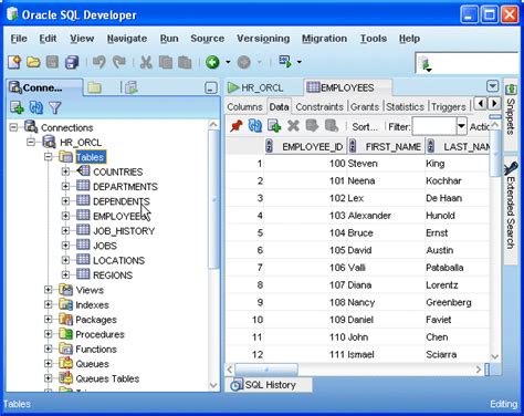 Установка приложения Oracle SQL Developer